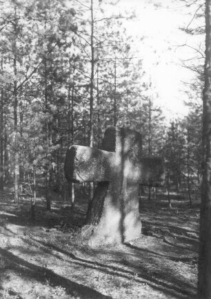 Langarmiges Tatzenkreuz : Höckendorf, Steinkreuz, langarmiges Tatzenkreuz, südlich des Ortes im Wald