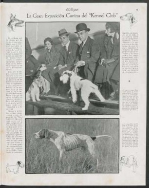 La gran exposición canina del "Kennel Club"