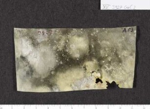 CIL XV 3927 δ, Gelatinefolie