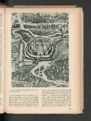 Die Burg Pinneberg
