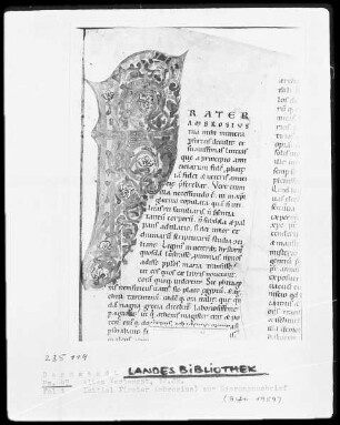 Vetus Testamentum — Initiale F (rater Ambrosius), Folio 1 recto