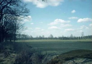 Jersbeker Park: Lindenallee (im Hintergrund): vorne Weiden, Zaun, links Gehölzrand