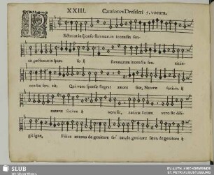 XXIII. Pectus ut in sponso