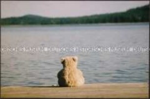 Rückenansicht eines Teddybären mit Blick auf einen See