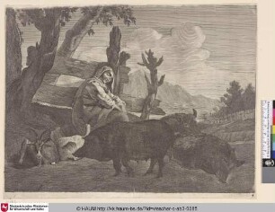 [Die schlafende Hirtin; A sleeping shepherdess]