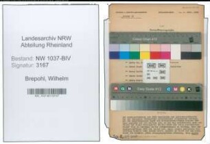 Entnazifizierung Wilhelm Brepohl , geb. 22.09.1893 (Schriftleiter)