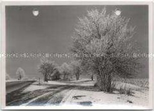 Winterlandschaft, Rauhreif