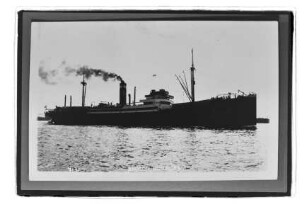 Ammon (1922), Kosmos, Hapag
