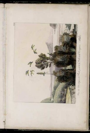 Pl. VIII. Vue des montagnes de Biobio près de la Ville de la Conception (Chili)