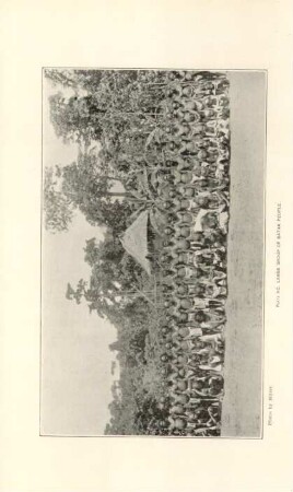 Plate XC. Large group of Batak people