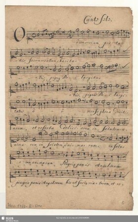 Canto Solo.