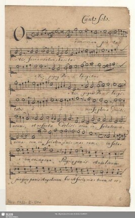 Canto Solo.