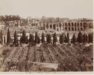 Panoramablick auf den Palatin von S. Prisca aus gesehen, Rom