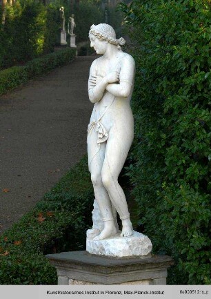 Andromeda