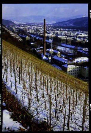 Freiburg: Schlossberg, Panoramaweg, Vordergrund Reben mit Blick auf Wiehre und Dreisamtal
