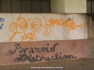 Paranoid Destruction