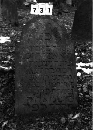 Grabstein 731