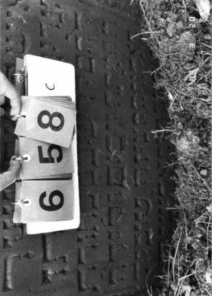 Grabstein 658 (Index: 99752443) Material: Sandstein Zustand: gut, Stele eingesunken Maße HxBxT: 95x84x11 cm Beschreibung: Stele, eingezogener Rundbogenabschluß, Schriftfeld eingetieft Symbolik: Muschel: Grabstein 658C