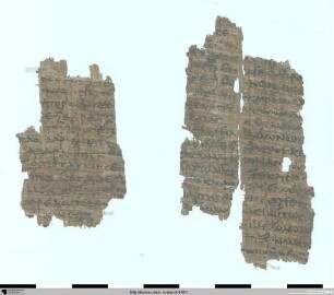 Homer, Ilias 16, 507–518, 530–548