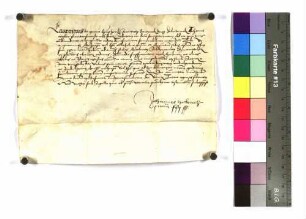 Bischof Lorenz (von Bibra) von Würzburg erklärt Thomas Orgler für befähigt, die niederen Weihen eines Akolythen, Subdiakons, Diakons und Presbyters zu erlangen.