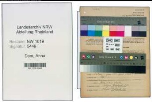 Entnazifizierung Anna Von Dam , geb. 20.08.1911 (Zettlerin)