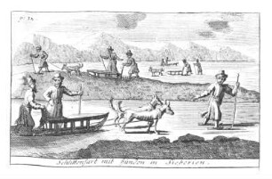 Schlittenfahrt mit hunden in Siberien
