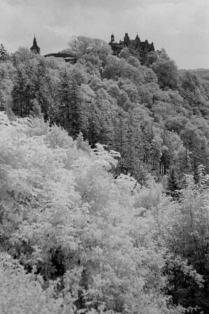 Ansicht des Schlosses Rammelburg im Harz