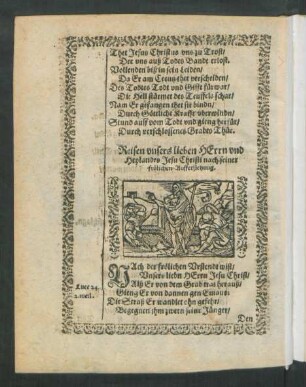 Reisen unsers lieben Herrn und Heylandes Jesu Christi nach seiner frölichen Aufferstehung.