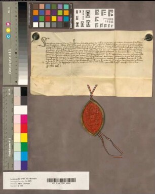 Johann, Generalprior des Karmeliterordens, macht Herzog Rainald von Jülich- Geldern und seine Frau aller guten Werke des Ordens teilhaftig.