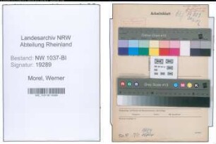 Entnazifizierung Werner Morel , geb. 21.08.1909 (Angestellter)
