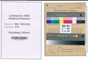 Entnazifizierung Wilhelm Bucksteeg , geb. 03.11.1906 (Chemiker)