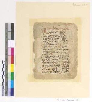 [Psalmodia] : Fragm. copt. Pischoi Psalmod. 39