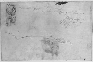 Rankenornament : Rietschel, Ernst. Rankenornament. Bleistift auf cremeweißem Velin; 18,2 x 27,7 cm. Wohl Anfang 1857. Privatbesitz. WVZ 345 v