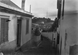 Straße in Funchal : Blick in eine Straße in Funchal. Rechts und links Wohnhäuser.