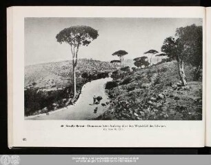 40. Straße Beirut – Damascus