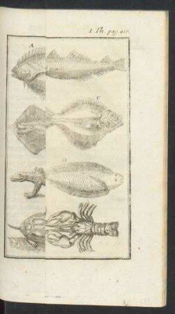 Tafel: Die Fische.