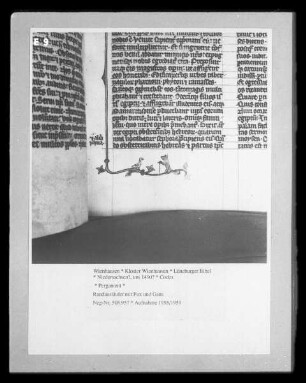 Lüneburger Bibel — Randausläufer mit Fux und Gans