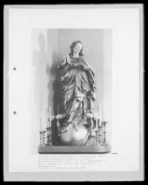 Immaculata