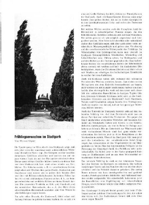 Frühlingserwachen im Stadtpark