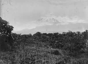 Landschaft mit Kibo : Blick von Kibosho Magharibi über eine bewaldete Ebene auf den Kibo, der von Wolken verhangen ist