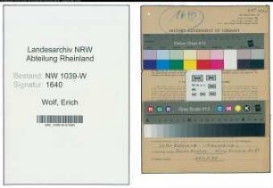 Entnazifizierung Erich Wolf , geb. 04.06.1900 (Kopfschlaechter)