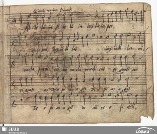 Lasso, Orlando di: Alleluia vox laeta personat