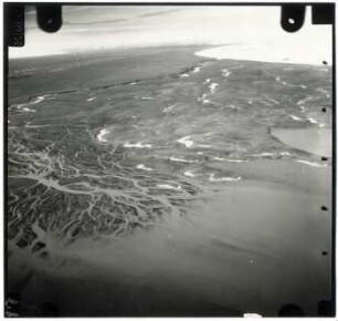 Nordland : Nordinsel (79-80° N)