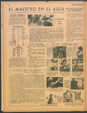 Anatomía, fisiología e higiene de la respiración [Ayuda gráfica para el aprendizaje]
