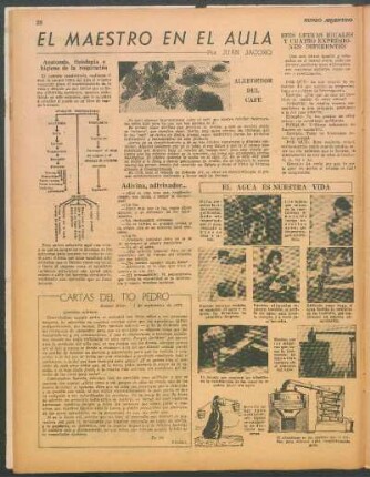 Anatomía, fisiología e higiene de la respiración [Ayuda gráfica para el aprendizaje]
