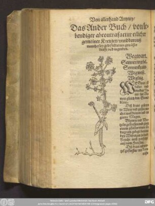 Das Ander Buch/ von lebendiger abcontrafactur etlicher gemeiner Kreuter/ unnd darauß mancherley gedistillierten gewässer krafft und tugenden.
