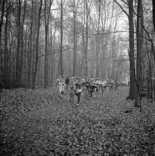 Verein für Leibesübungen (VfL) Oldesloe von 1862 e.V.: Stadtforst Kneeden: 2. Nationaler Kneeden-Cross: ein Schülerrennen