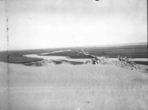 China. Sinkiang (Xinjiang). Takla Makan. Jurunkush-darja (Chotan-darja) unterhalb Chotans mit toten Pappeln. Blick abwärts nach Nordnordost