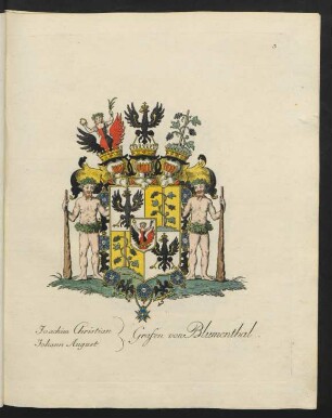 Grafen von Blumenthal