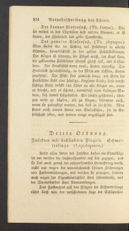 Dritte Ordnung. Insekten mit bestaeubten Fluegeln. Schmetterlinge. (Lepidoptera.)